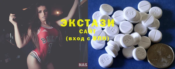 гашик Алексин