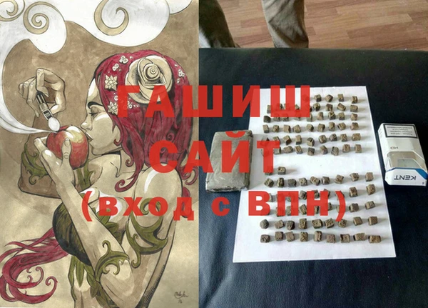 гашик Алексин