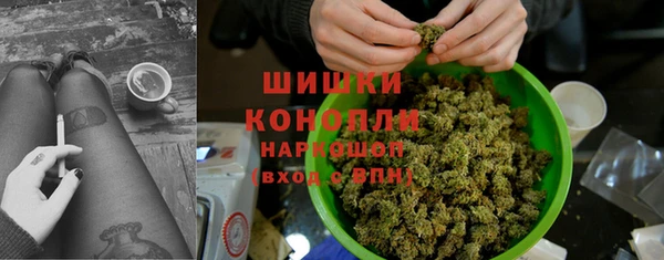 ПСИЛОЦИБИНОВЫЕ ГРИБЫ Алексеевка